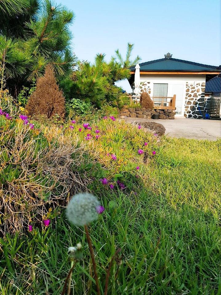 Villa Hadori Mindfulness à Jeju Extérieur photo